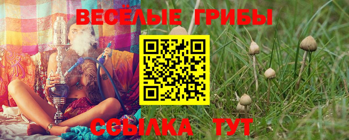 Псилоцибиновые грибы ЛСД Сальск