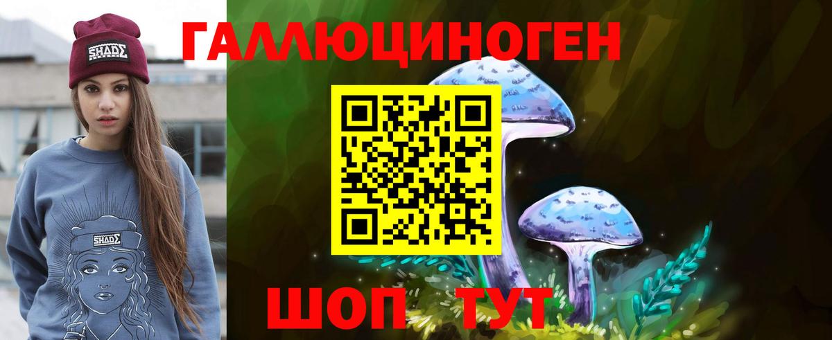 Сальск  Псилоцибиновые грибы прущие грибы  Вход с VPN  Галлюциногенные грибы мухоморы 